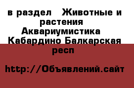  в раздел : Животные и растения » Аквариумистика . Кабардино-Балкарская респ.